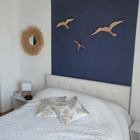 Appartement T4 89m2, Cap D'agde, Secteur Falaise, Vue Mer, Clim, 8 Pers, Wifi, 100 M Agde